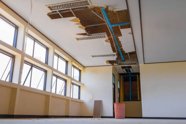 Best Sewage cleanup and water damage restoration  in Hercules, CA