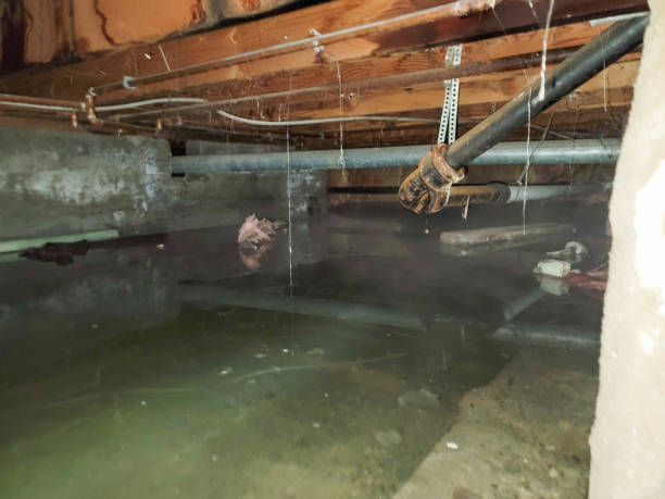 Best Flooded house restoration  in Hercules, CA