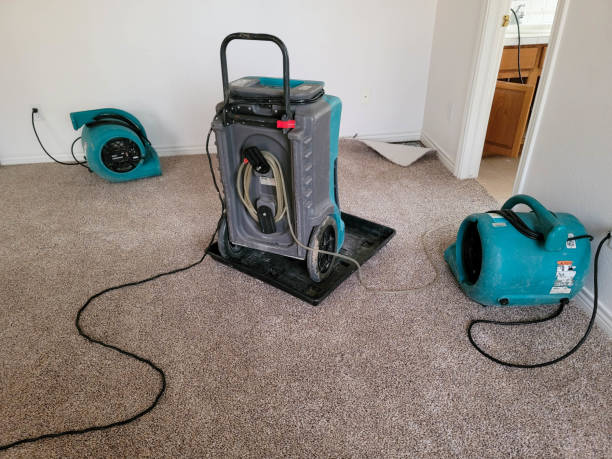 Best Commercial water damage restoration  in Hercules, CA