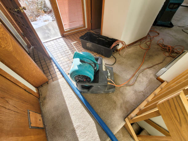 Best Basement water damage restoration  in Hercules, CA