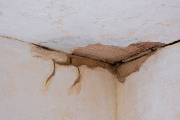 Best Water damage contractors near me  in Hercules, CA