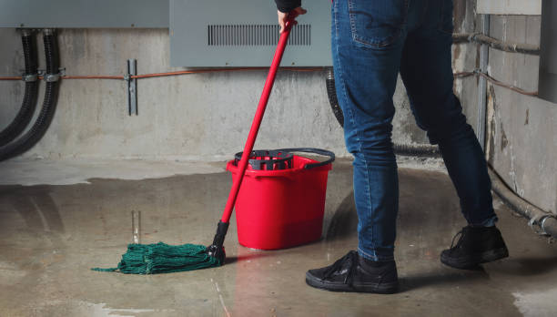 Best Sewage cleanup and water damage restoration  in Hercules, CA