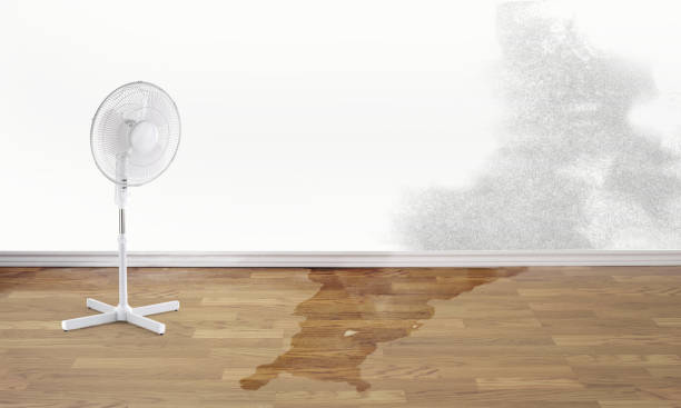 Best Water damage cleanup near me  in Hercules, CA