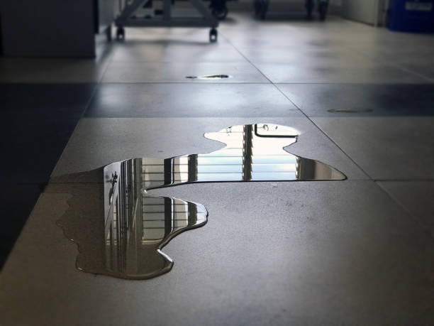 Best Water damage restoration near me  in Hercules, CA