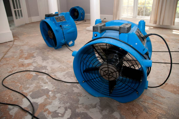 Best Water damage restoration near me  in Hercules, CA