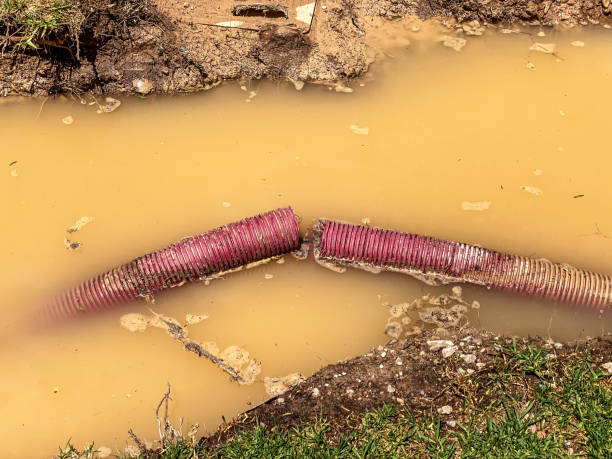  Hercules, CA Water damage restoration Pros
